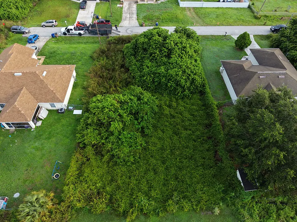 Aerial top-down view of a lot thick with trees and brush between two houses